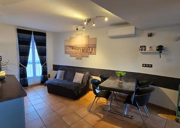 Appartement Centre Collioure Clim Patio Wifi